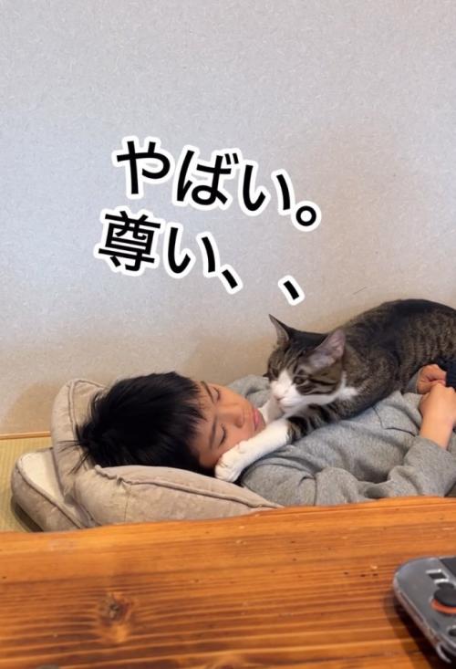 顔を覗き込む猫
