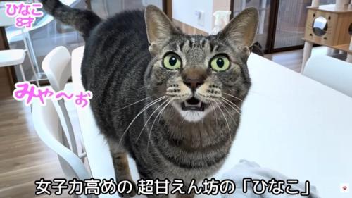 テロップ「女子力高めの~」