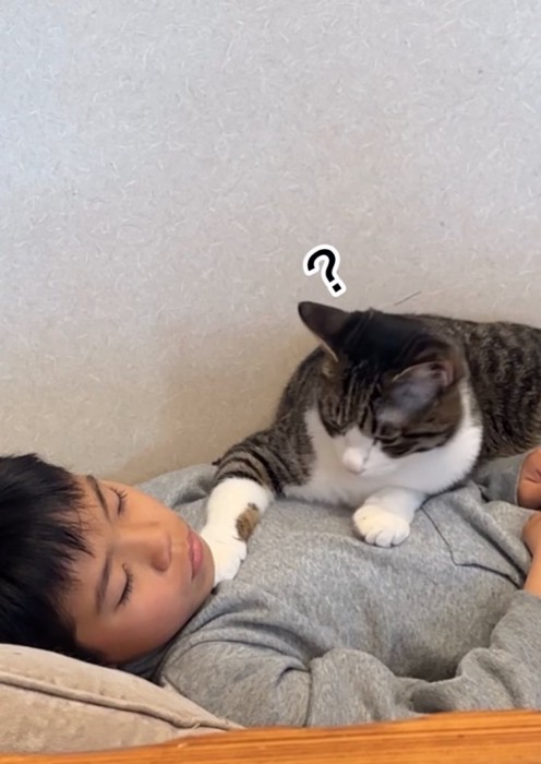 お腹の上に乗る猫3