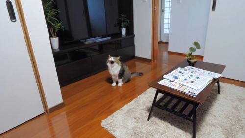 あくび