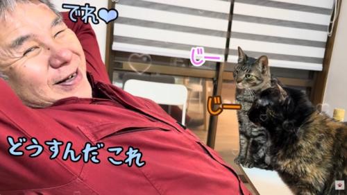 テロップ「どうすんだ これ」