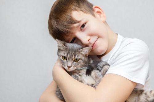 猫を抱く少年