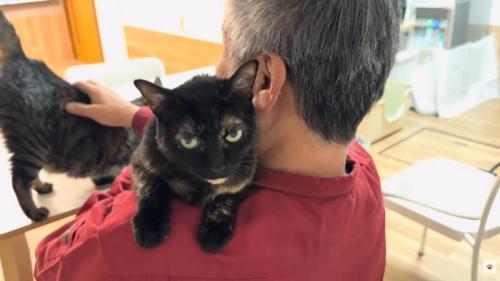 男性の左肩からカメラを見る猫ちゃん