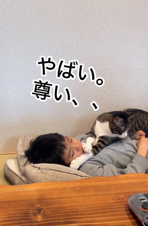お腹の上に乗る猫