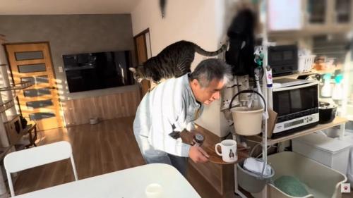 背中に猫ちゃんを乗せた男性