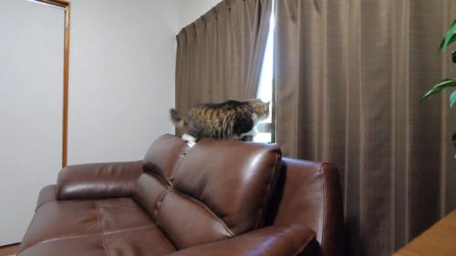 カーテンを開けて