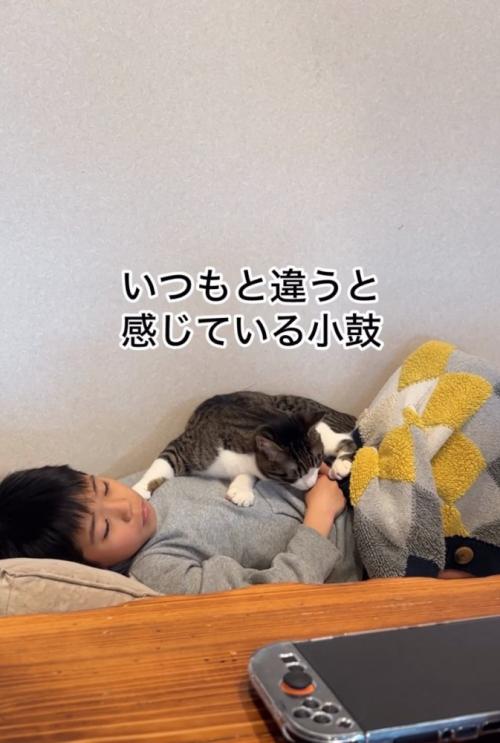 お腹の上に乗る猫2