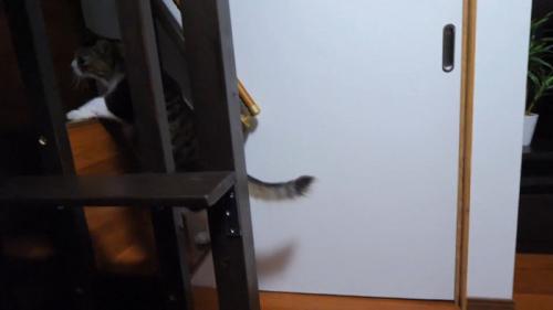 暗がりの中