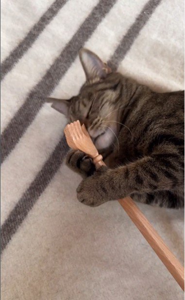 横になって孫の手を持っている猫
