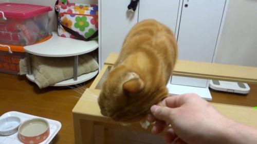 頭を傾けて
