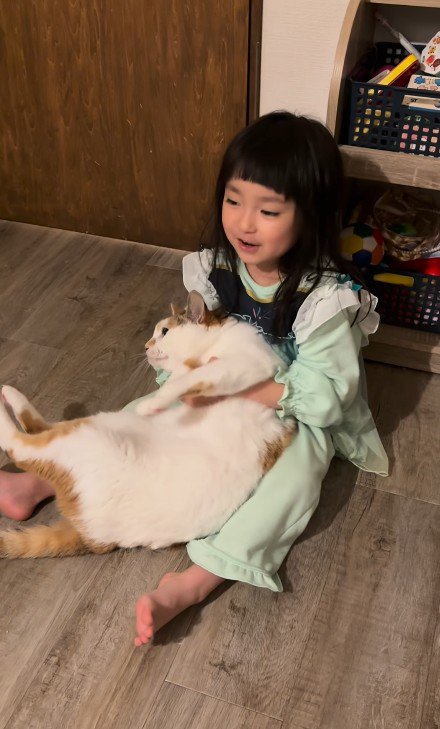 猫と遊ぶ女の子