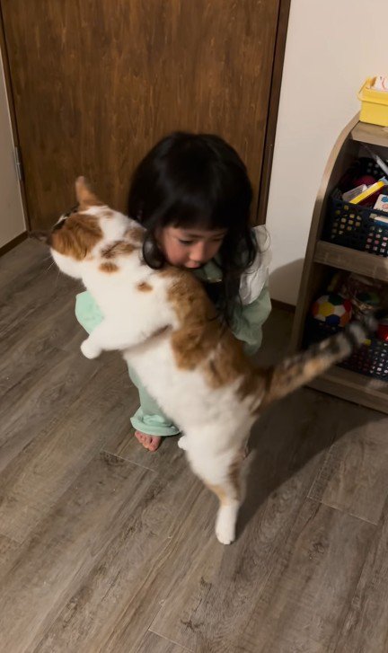 猫を抱っこしようとする女の子