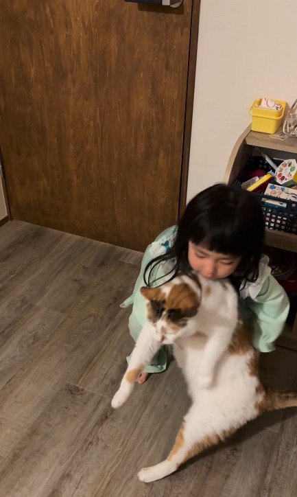 猫を抱っこしようとする女の子
