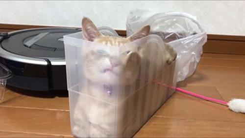 衝撃の変顔