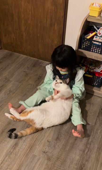 猫を膝にのせる女の子