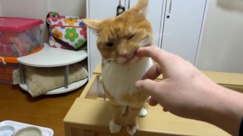指にスリスリ