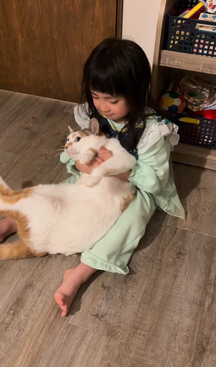 猫と遊ぶ女の子