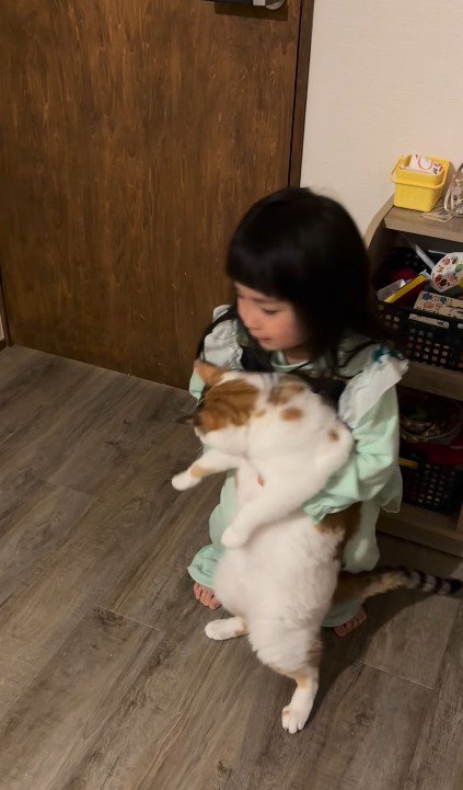 猫を抱っこしようとする女の子