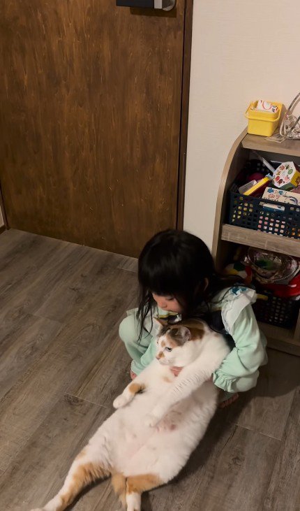 猫を寝かせる女の子