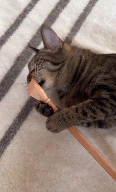 横になって孫の手を持っている猫