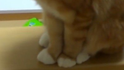 足のアップ
