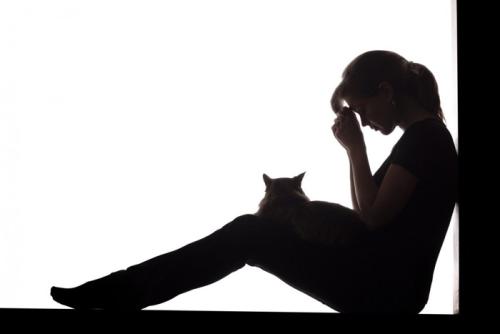 悲しむ人と膝の上に乗る猫のシルエット