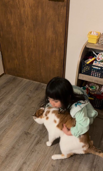 猫を抱っこしようとする女の子