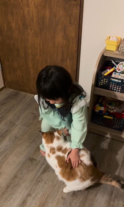 猫を抱っこしようとする女の子
