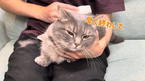 早く終わらして