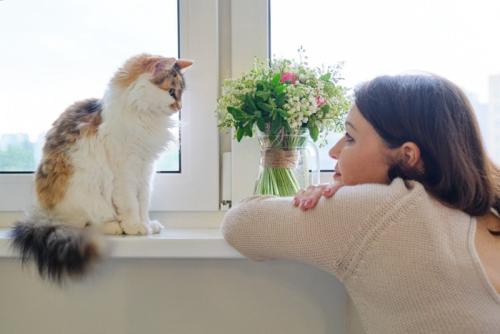 窓辺で猫と向き合う女性