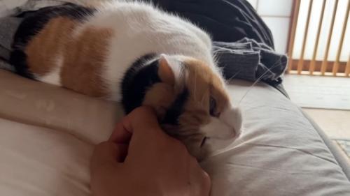 頭を手に