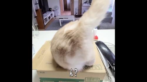 ん?