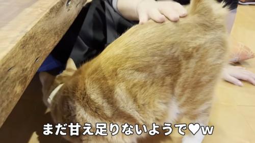 まだ甘え足りない