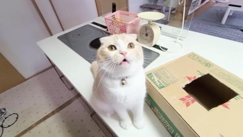 鳴くじゅんちゃん