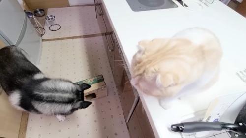 見下ろすじゅんちゃん