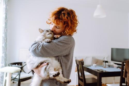 猫との約束