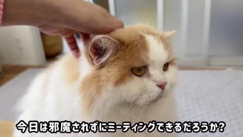 ミーティングの邪魔をしようとするレモンくん