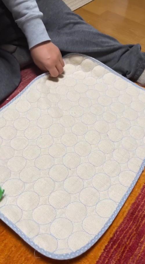 ペット用マットを床に敷く男性
