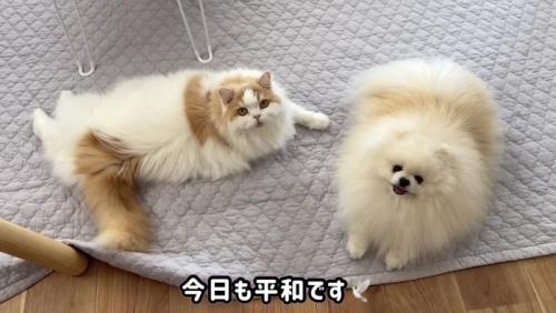 仲良しなふたり