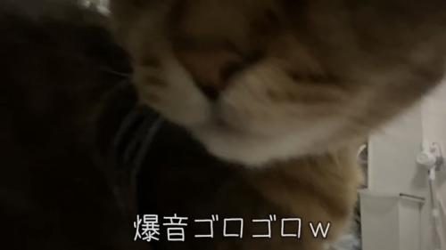 「爆音ゴロゴロｗ」のテロップ写真