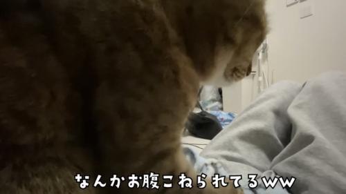 「なんかお腹...」のテロップ写真