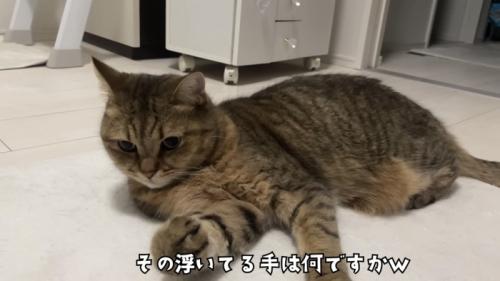 「その浮いてる...」のテロップ写真