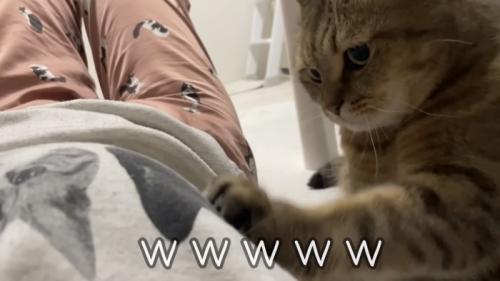 「ｗｗｗｗ」のテロップ写真