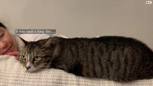 飼い主さんの横で眠るノブくん 