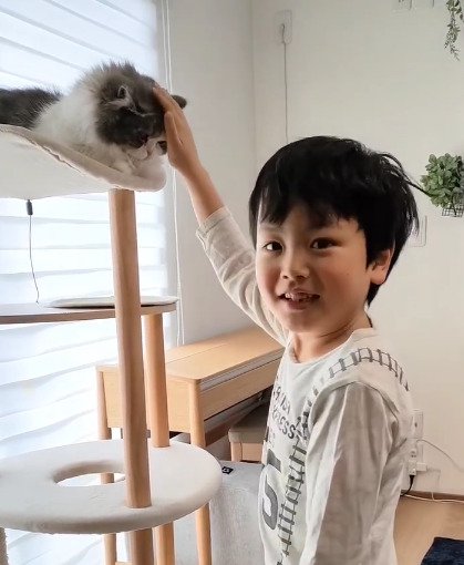 猫を撫でる男の子