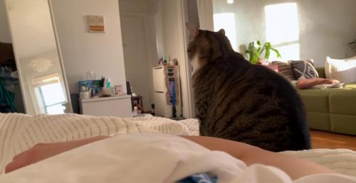 飼い主さんに背を向けて待つノブくん
