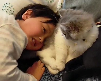 猫を見る男の子