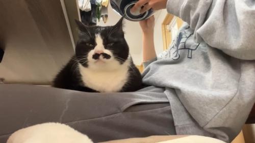 膝の上