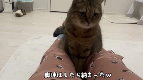 「足伸ばしたら...」のテロップ写真