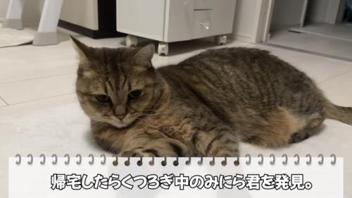 「帰宅したら...」のテロップ写真